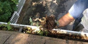 Residential Gutter Cleaning